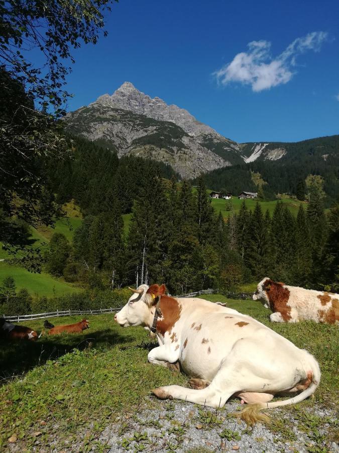 Apart-Alpin Stanzach Extérieur photo